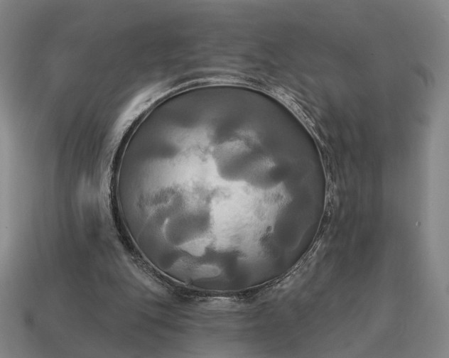 X0000115090151200911101531