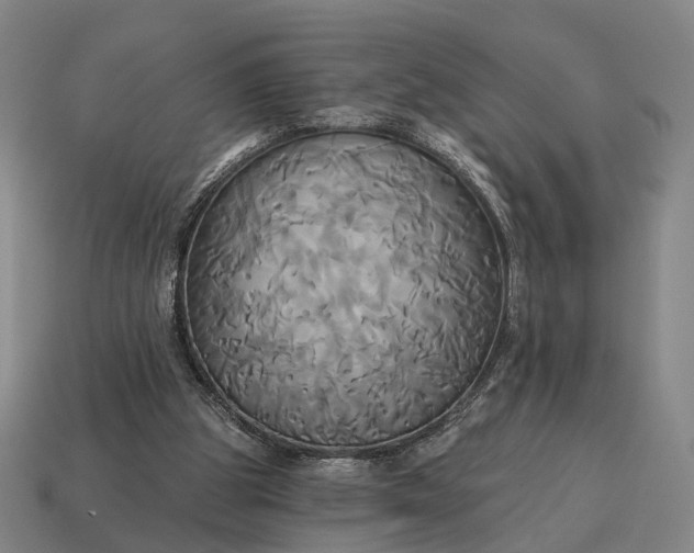 X0000115090153200911101531