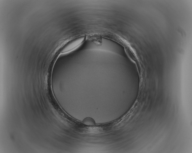 X0000115090154200911101531