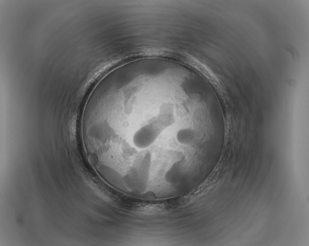 X0000115090155200911101531