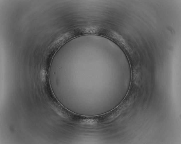 X0000115090161200911101531