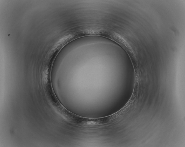 X0000115090163200911101531