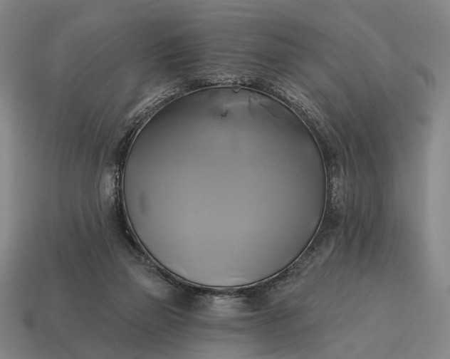 X0000115090165200911101531