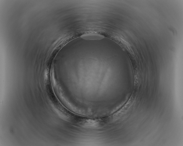 X0000115090166200911101531