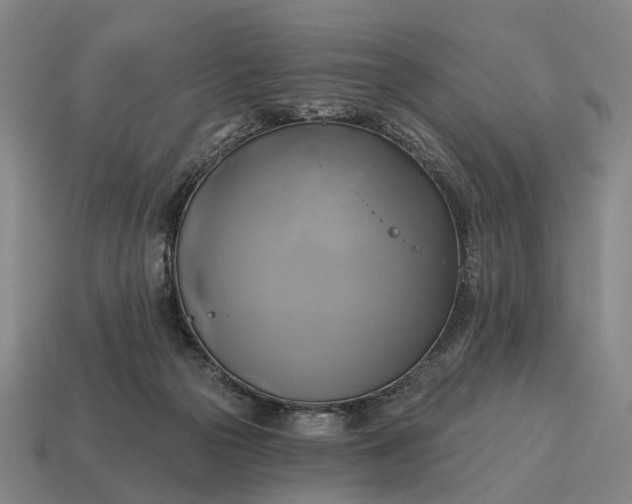X0000115090169200911101531