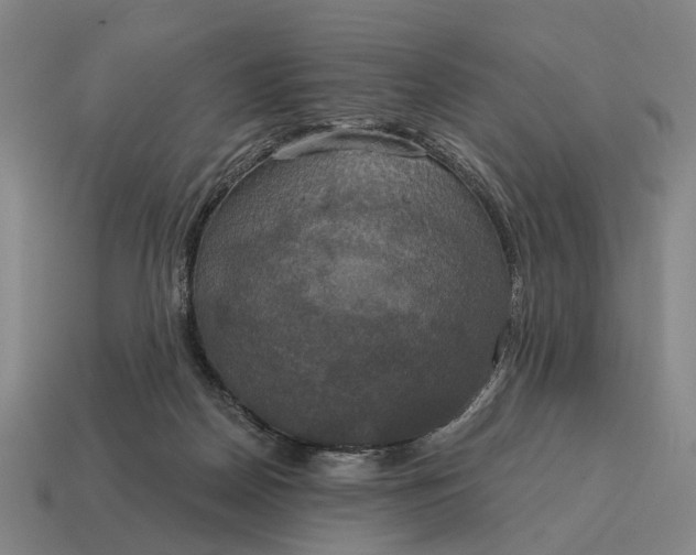 X0000115090170200911101531