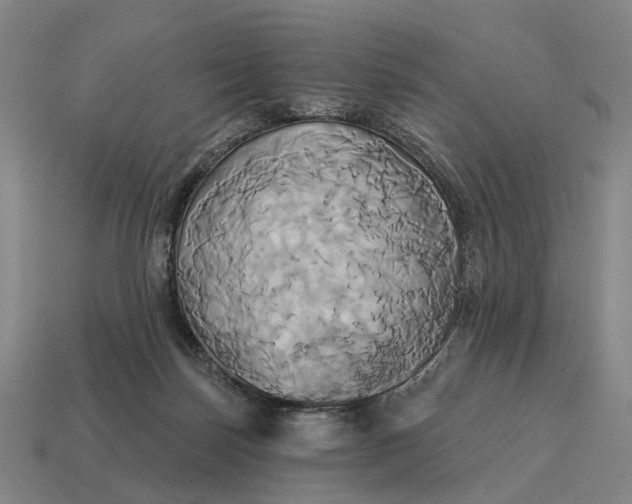 X0000115090171200911101531