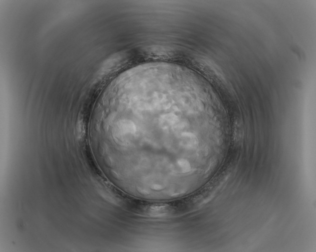 X0000115090173200911101531