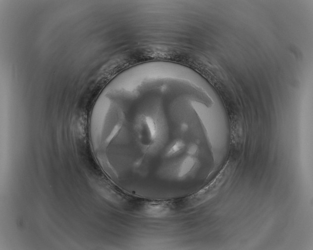 X0000115090175200911101531