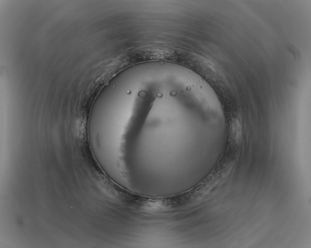 X0000115090177200911101531