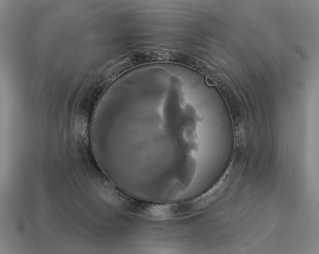 X0000115090178200911101531