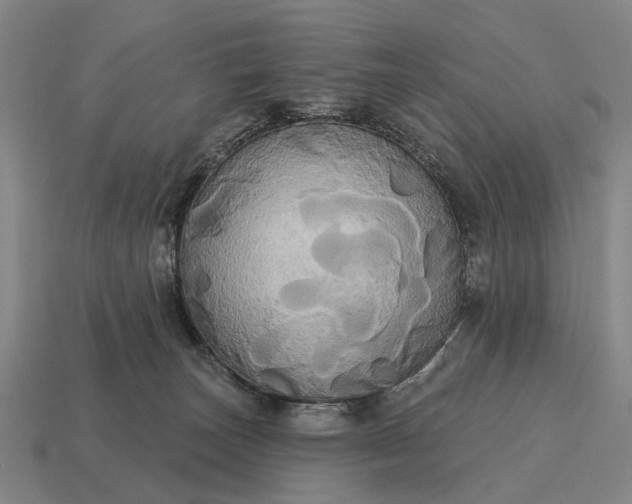 X0000115090179200911101531