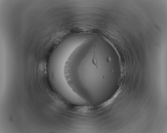 X0000115090182200911101531