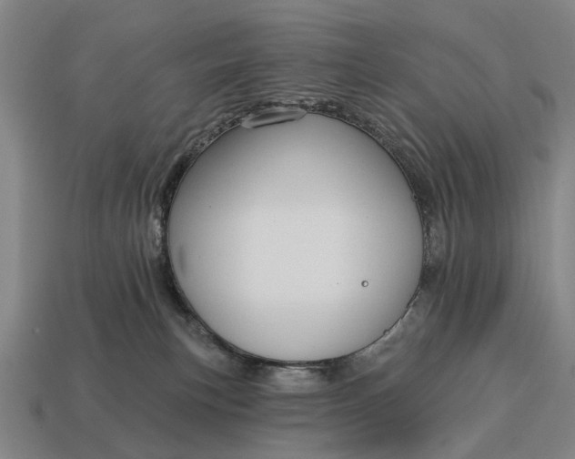 X0000115090183200911101531