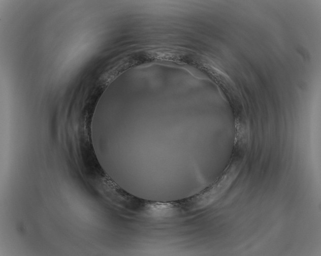 X0000115090189200911101531