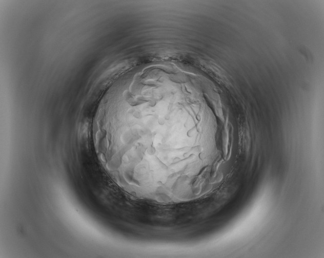 X0000115090191200911101531