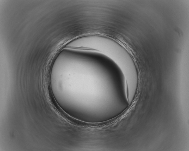 X0000115090193200911101531