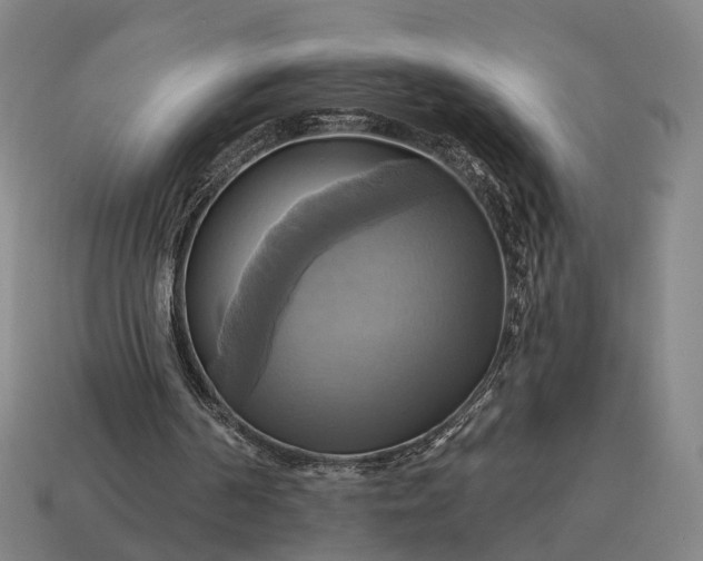 X0000115090194200911101531