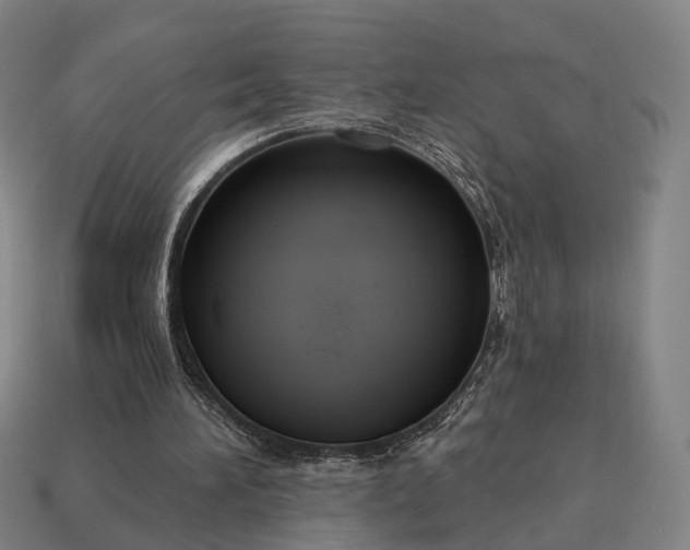 X0000115090196200911101531