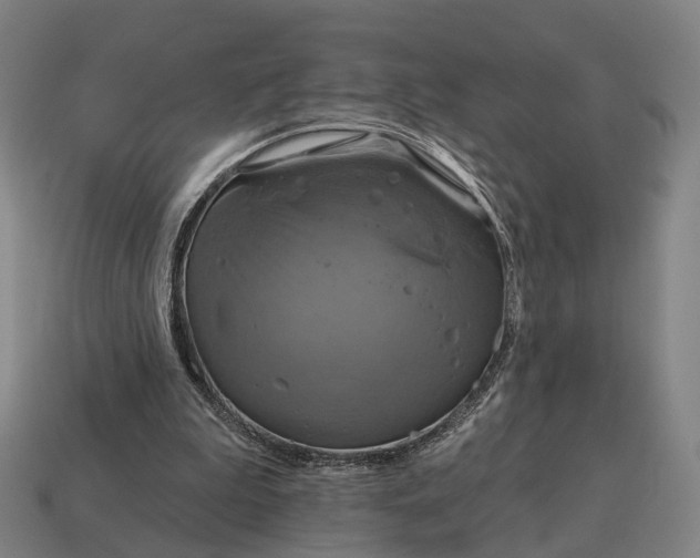 X0000115090199200911101531