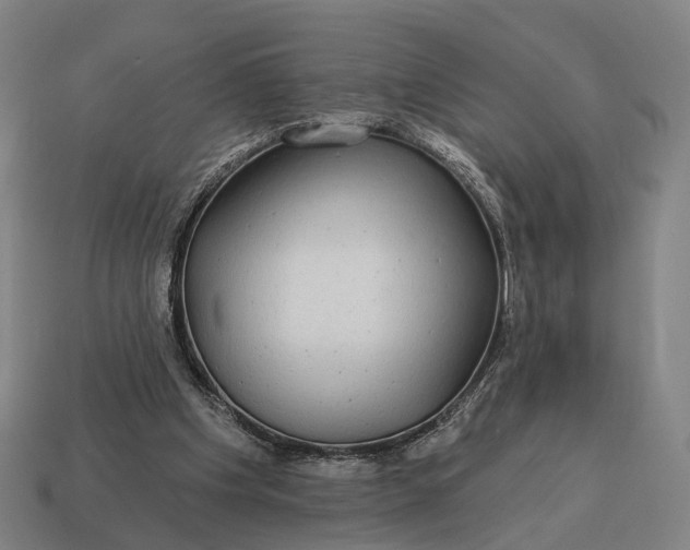 X0000115090201200911101531