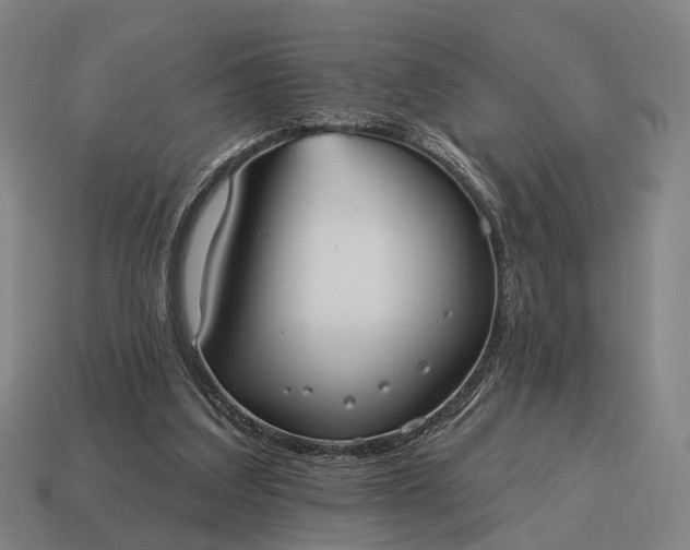 X0000115090203200911101531
