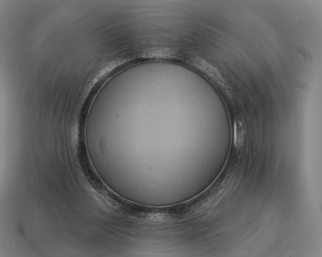 X0000115090204200911101531