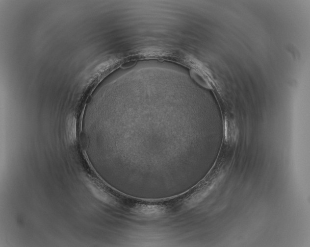 X0000115090205200911101531