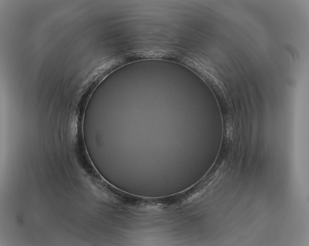 X0000115090206200911101531
