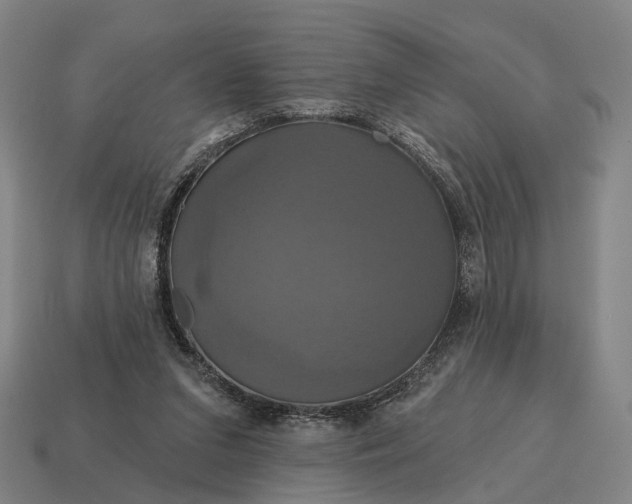 X0000115090207200911101531