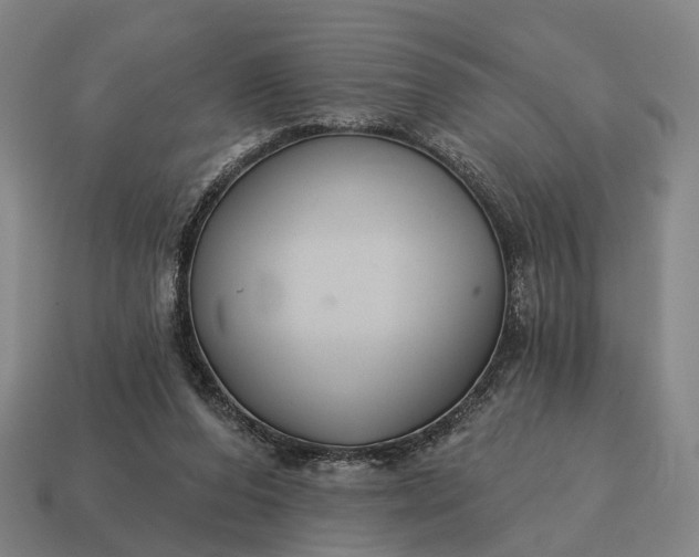 X0000115090208200911101531