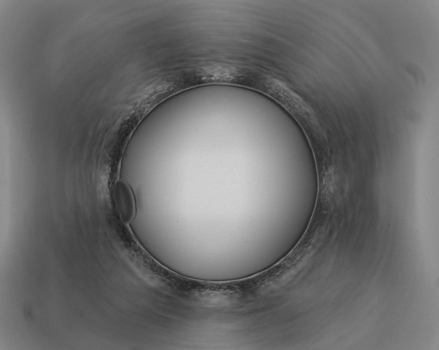X0000115090209200911101531