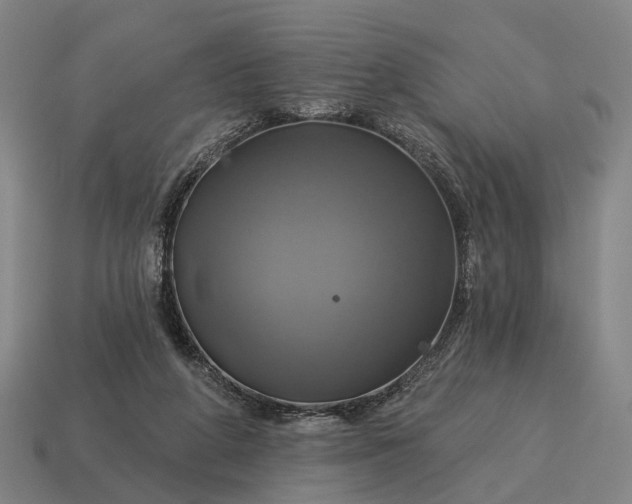 X0000115090210200911101531
