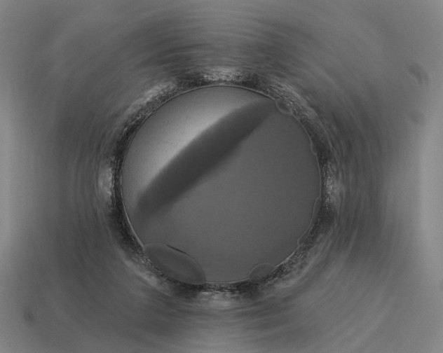 X0000115090211200911101531
