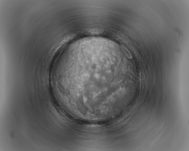 X0000115090212200911101531