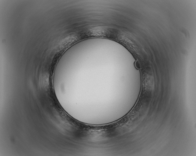X0000115090213200911101531