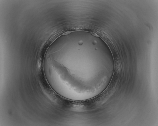 X0000115090214200911101531