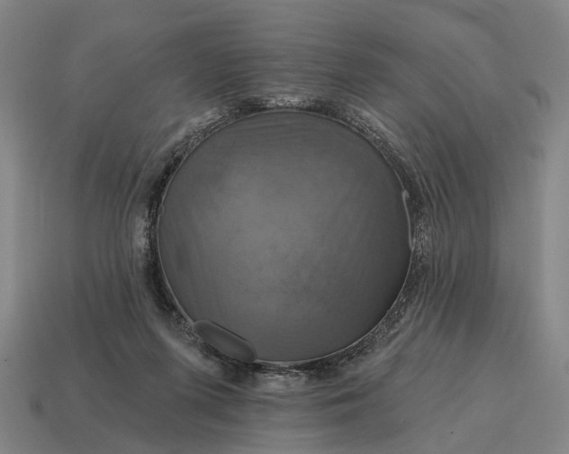 X0000115090215200911101530