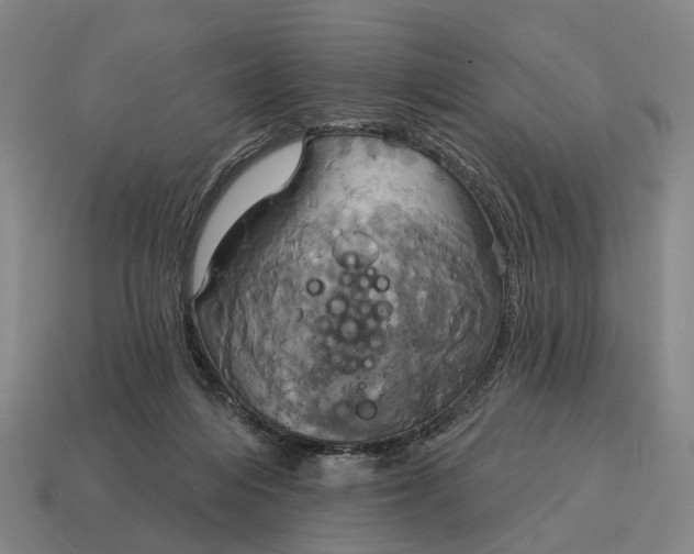 X0000115090216200911101530