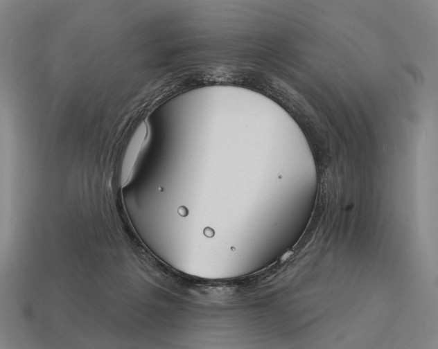 X0000115090217200911101530