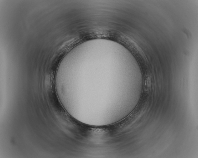 X0000115090218200911101530