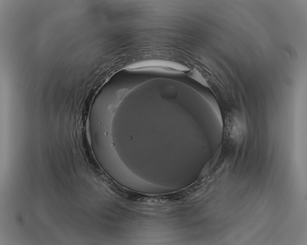 X0000115090223200911101530