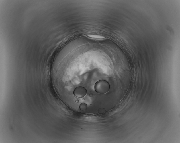 X0000115090228200911101530