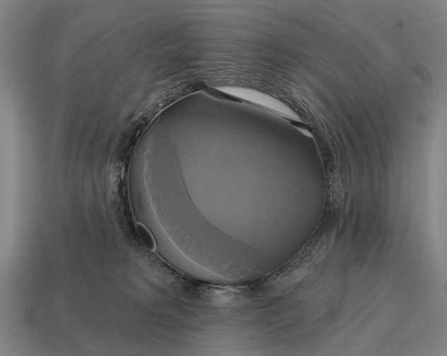 X0000115090229200911101530