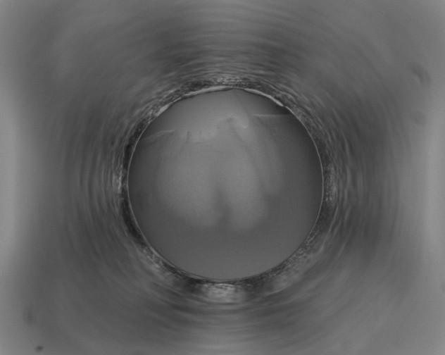 X0000115090230200911101530