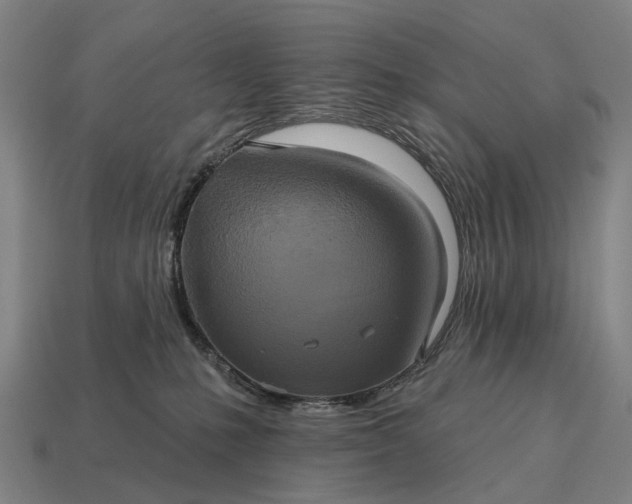 X0000115090231200911101530
