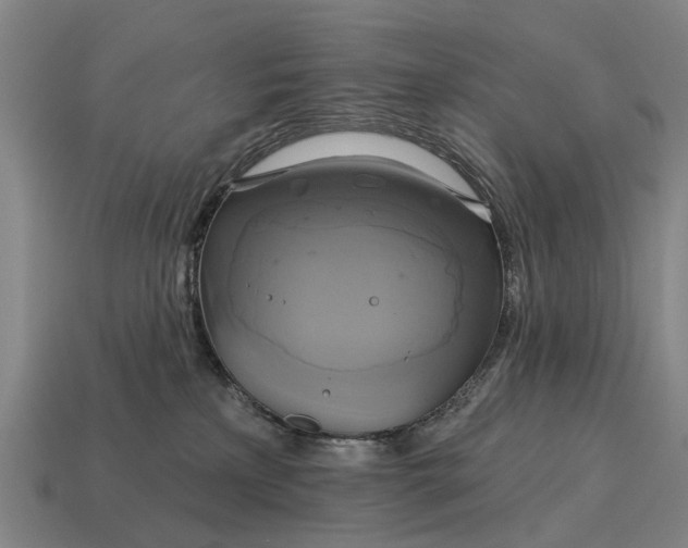 X0000115090233200911101530