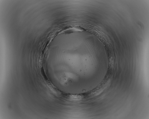 X0000115090234200911101530