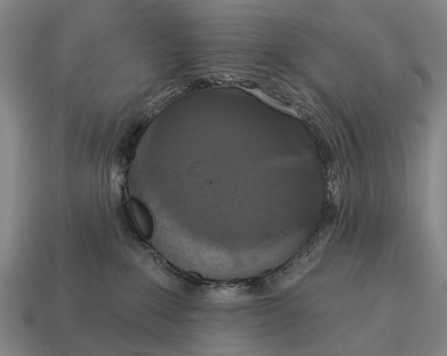 X0000115090235200911101530
