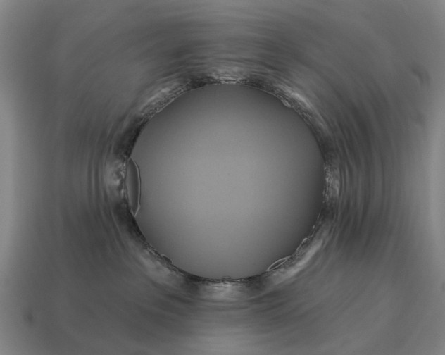 X0000115090237200911101530